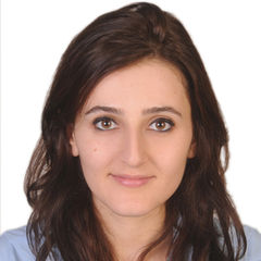 Maysaa Nasr, Lecturer