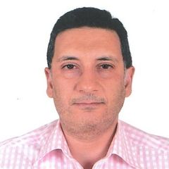 Ramzi Mudallal, IT/ERP manager