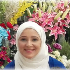 Rania El Kalamawy, Systems Administrator
