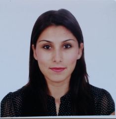 PINAR كوبان, ON!TRACK Asset Management Software Consultant