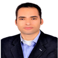 Ahmed Gamal Ahmed Ibrahim, محاسب ضرائب