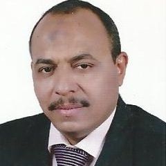 mohsen Mohamed Saad Eldin Qasim Qasim, Area Sales Manager, WZ