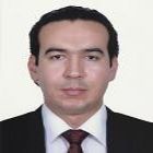 عماد محمد الزينى عبد الفتاح عبد الجواد ELZEINY, Group Credit Controller