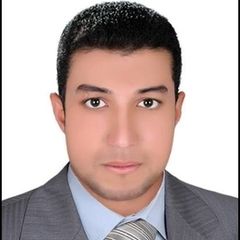 محمد مرشدي السماديسي, محاسب مالي