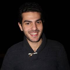 Karim Hamed El-Bayaa