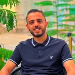 Hussien Abd elhamed