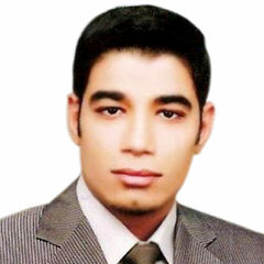 Ahmed Sleem Yousef Hassan, senior cost accountant , controller and analyst