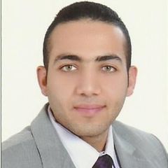 محمد كمال أحمد عراقى, Technical Services Team Lead
