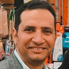 Hisham Hamed Ali