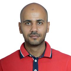 Mohamed Farag, Sales Team Leader