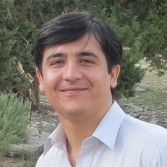 Zafar Hussain Luni, Software Developer Analyst