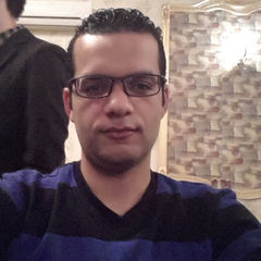 Wael Gomaa, Full stack developer