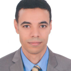 Mohamed Saber Metwaly, Senior Oracle APEX Consultant