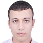 Amir Salah, Sharepoint Developer