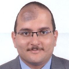 Sameh Ayoub, Regional BID Manager