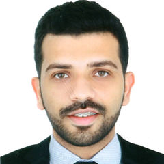 Sayed Ali Qarooni, Technical Sales And Support Engineer