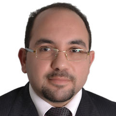 Mostafa Abou Elhassan