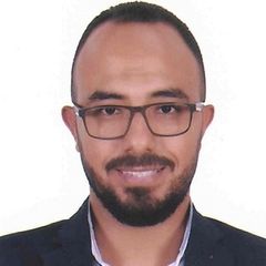 Sameh Fouad, Procurement and Logistics Manager
