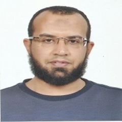 mahmoud Omar, Lead Application Engineer