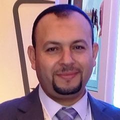 محمد أحمد محمود عبد الله,  GIS Expert and Project Manager 