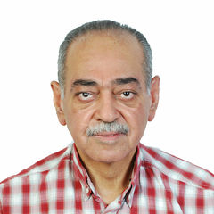 Osama Bahgat Shawgi Mohammed