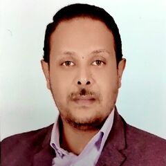 أحمد محمود, Sales Consultant