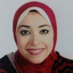 Yasmin Farid, News Anchor