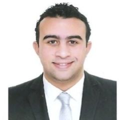 Khaled Eissa, Accountant