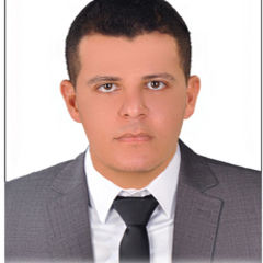 Ahmed Gamal Abd El Hadi, District Sales Manager