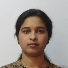 Arya Binu, Programmer