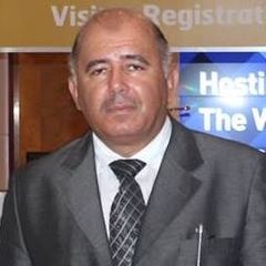 Amr Fawzi, Executive Director