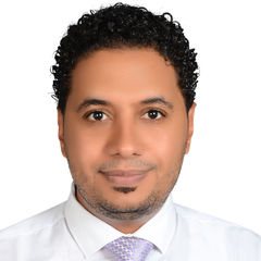 Mohamed Ibrahim Ramadan, Software Developer
