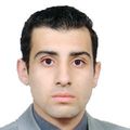Amir Mounir Sourial, Accountant