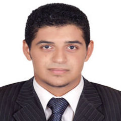 Mohamed Hassan, Polymers & Paper Division Sales Leader