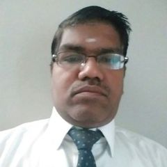 Srinivasan K, Business/Data Analyst 