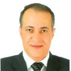 Abdel-Naby Madkour, Chief Operation Officer - COO