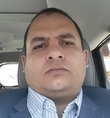 Ahmed Elsayed, Project Manager / PMO / QA Consultant