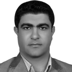 Mohsen Mohammadpour, lecturer