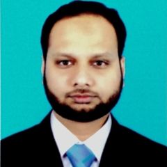 Naushad Ahmed, Financial Analyst