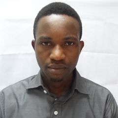 Peter Abisoye, Finance Officer