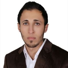Amer Mosa Yousef alrefai, Web Developer