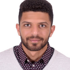 Mostafa Nagi Khater, IT Manager 