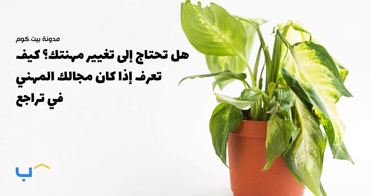 هل تحتاج إلى تغيير مهنتك؟ كيف تعرف إذا كان مجالك المهني في تراجع