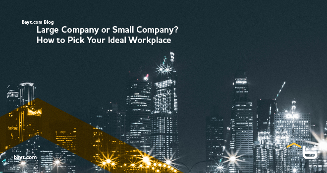 Large Company or Small Company? How to Pick Your Ideal Workplace 