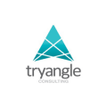 TryAngle Consulting  logo