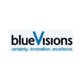 blueVisions Management  logo