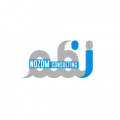 نظم الخبرات لتقنية المعلومات  logo