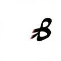 مركز الحزام الاسود الرياضي  logo