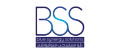 BSS (Blue Synergy Solutions)  logo