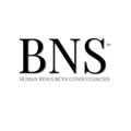 BNS for Human Resources Consultancies  logo
